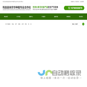 水果种植销售_筠连茶叶_土鸡_筠连县徐宗华种植专业合作社