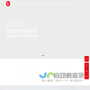 山东泰维数科软件有限责任公司-政企数智化专家