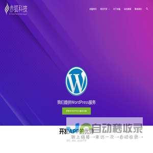 广州网站设计公司|程序开发公司|APP应用开发|物流软件|谷歌独立站|外贸网站建设|大数据营销报告 – 广州赤狐科技 – 赤狐科技专注于互联网应用设计开发业务，涵盖网站策划定制、平面视觉UI/UE设计、手机端APP应用开发、行业软件解决方案定制、开源内容管理系统综合服务商