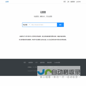 站查查 - 快速查询，精确分析，尽在站查查