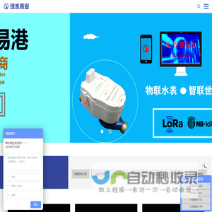 海南琼水表业有限公司