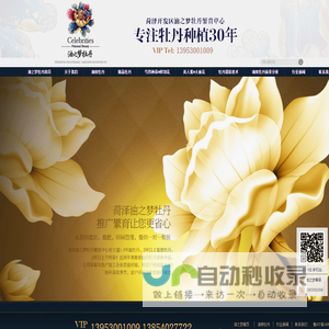 油之梦牡丹-菏泽油之梦牡丹-菏泽开发区油之梦牡丹繁育中心-油之梦-油之梦牡丹油-油之梦牡丹籽油-牡丹-牡丹油-中国油之梦牡丹-油用牡丹