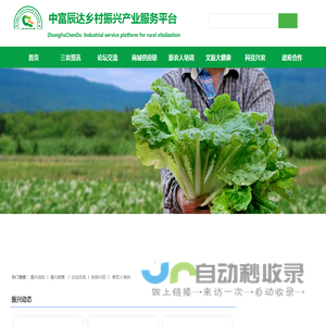 中富辰达乡村振兴产业服务平台