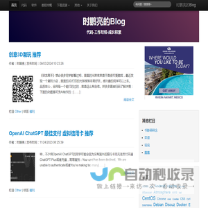 时鹏亮的Blog | 代码-工作经验-成长积累