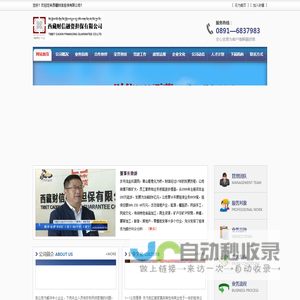 西藏财信融资担保有限公司