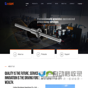 Lishui Aosheng bearings Co.,Ltd.