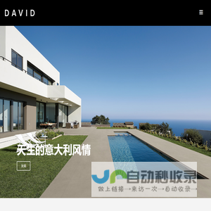 DAVID 大卫卡莎