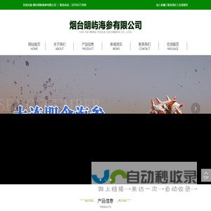 烟台明屿海参有限公司