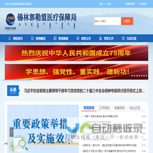 锡林郭勒盟医疗保障局