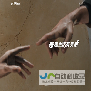 灵感ins