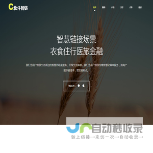 北斗智链