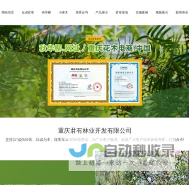 重庆君有林业开发有限公司-小梾木秋华柳园林植物培育