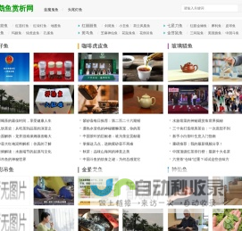 鹦鹉鱼赏析网 - 潜入鹦鹉鱼的五彩世界，深度解析饲养与赏析技术