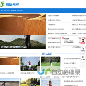 高尔夫网