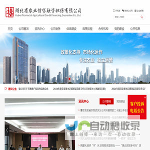 湖北省农业信贷融资担保有限公司