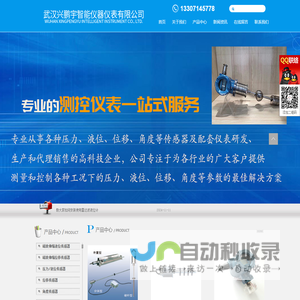 武汉兴鹏宇智能仪器仪表有限公司