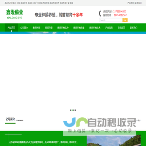 鹅苗,鹅苗批发,鹅苗价格,鹅苗技术,山东郓城鑫隆鹅业鹅苗孵化场