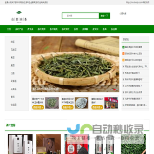 山里向茶