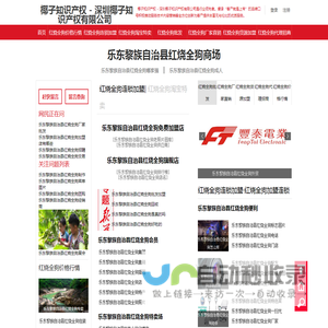 椰子知识产权 - 深圳椰子知识产权有限公司