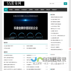 SEM竞价优化_SEO网站优化服务_SEM竞价托管-黑锋网