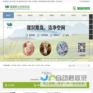轿车除甲醛_除烟味_轿车除烟味_养猪场除臭-福州清清野山生物科技有限公司