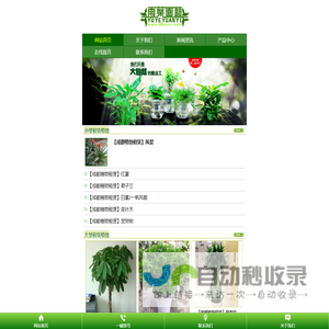 温江植物租赁|温江植物租摆|温江租花|温江盆栽出租|成都雨叶园林景观设计有限公司