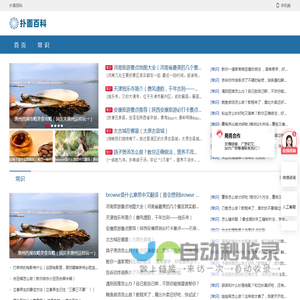 扑面百科