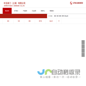 中玉阀门（上海）有限公司