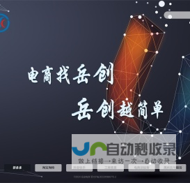 岳创电商-电商软件分享