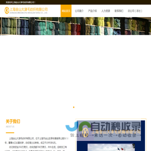 上海金山大津毛纺织有限公司
