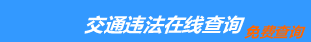 （手机版）温州交通违章查询-温州违章查询网