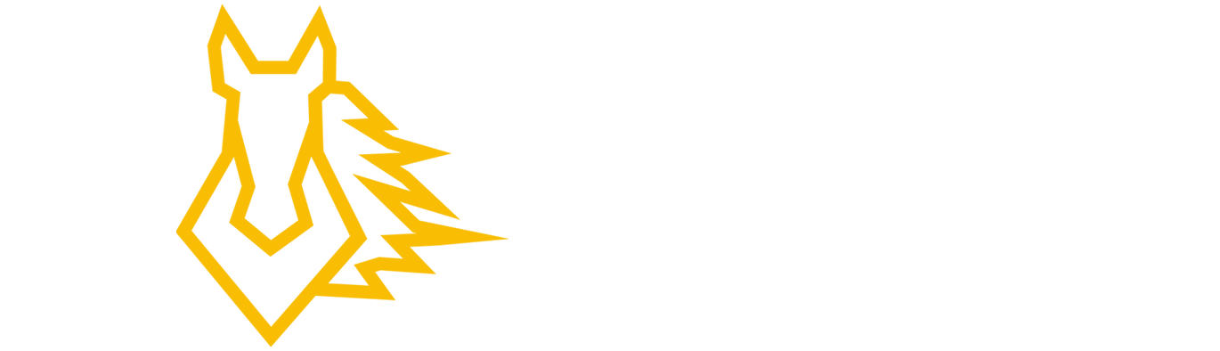 骏·数智
