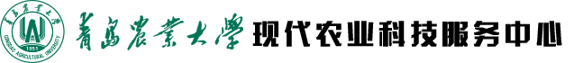 现代农业科技服务中心_