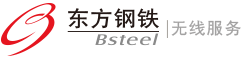 东方钢铁-无线服务