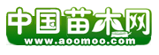南江县益润苗木专业合作社