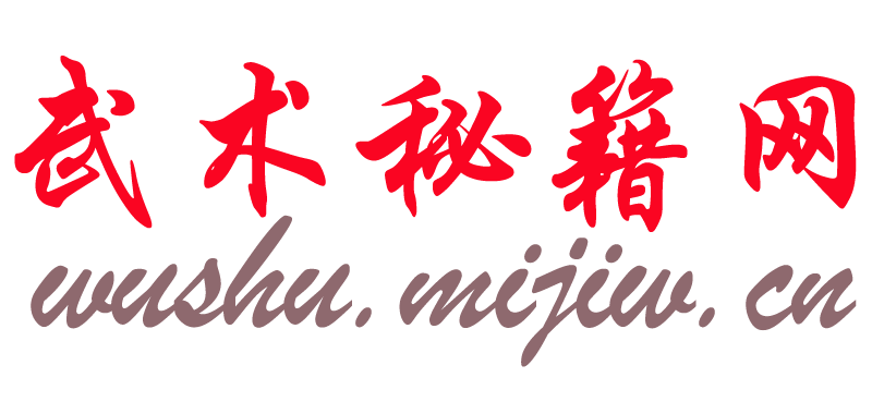 自学武术_中国武功秘籍大全【武术书籍资料网】