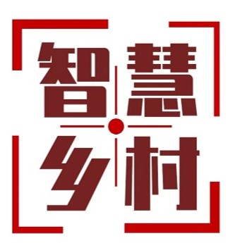 智慧乡村治理模式-数字乡村