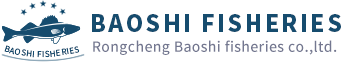 -RONGCHENG BAOSHI FISHERIES CO.,LTD