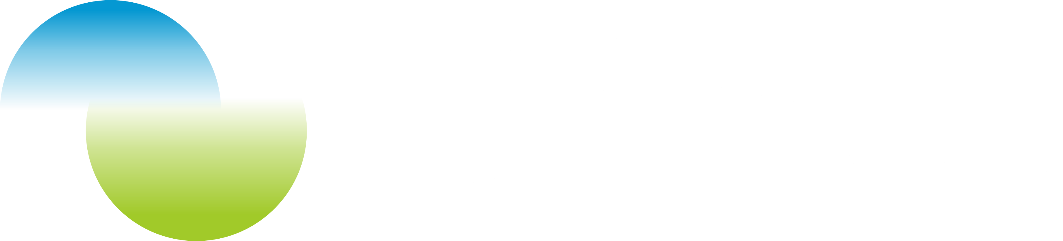 负极材料_锂电池材料_广东凯金新能源科技股份有限公司