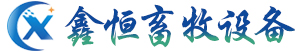 养殖料线_养猪料线_养猪设备-德州鑫恒畜牧设备有限公司