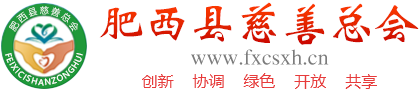 肥西县慈善总会