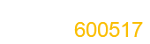 国网英大股份有限公司