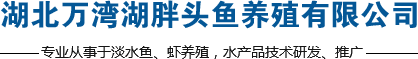 湖北胖头鱼批发厂家_湖北水产公司-湖北万湾湖胖头鱼养殖有限公司