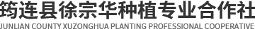 水果种植销售_筠连茶叶_土鸡_筠连县徐宗华种植专业合作社