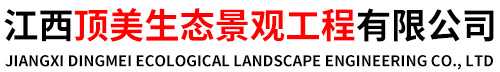 江西透水混凝土厂-江西透水混凝土增强剂-江西防滑路面厂家-江西顶美生态景观工程有限公司