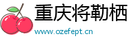 重庆将勒栖贸易有限公司