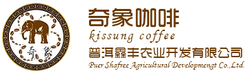 小粒咖啡_奇象咖啡-咖啡种植基地|咖啡代加工-云南普洱鑫丰农业