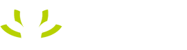 广东省绿芽乡村妇女发展基金会 | www.ruralwomengd.org