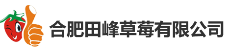 合肥田峰草莓有限公司,田峰草莓园,长丰草莓,长丰摘草莓，长丰草莓批发，长丰草莓价格