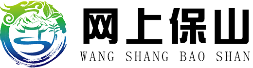 网上保山